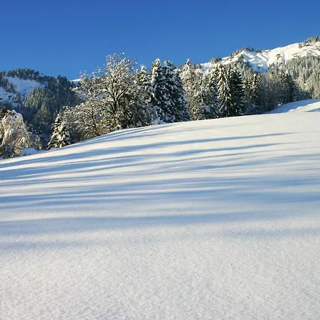 A Vue Montagne 64 M² Jardin