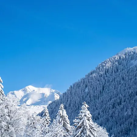 Convivial A 64 M² Avec Vue Sur La Montagne דירה