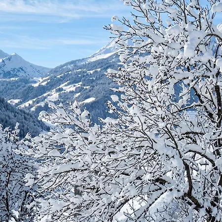 Convivial A 64 M² Avec Vue Sur La Montagne *